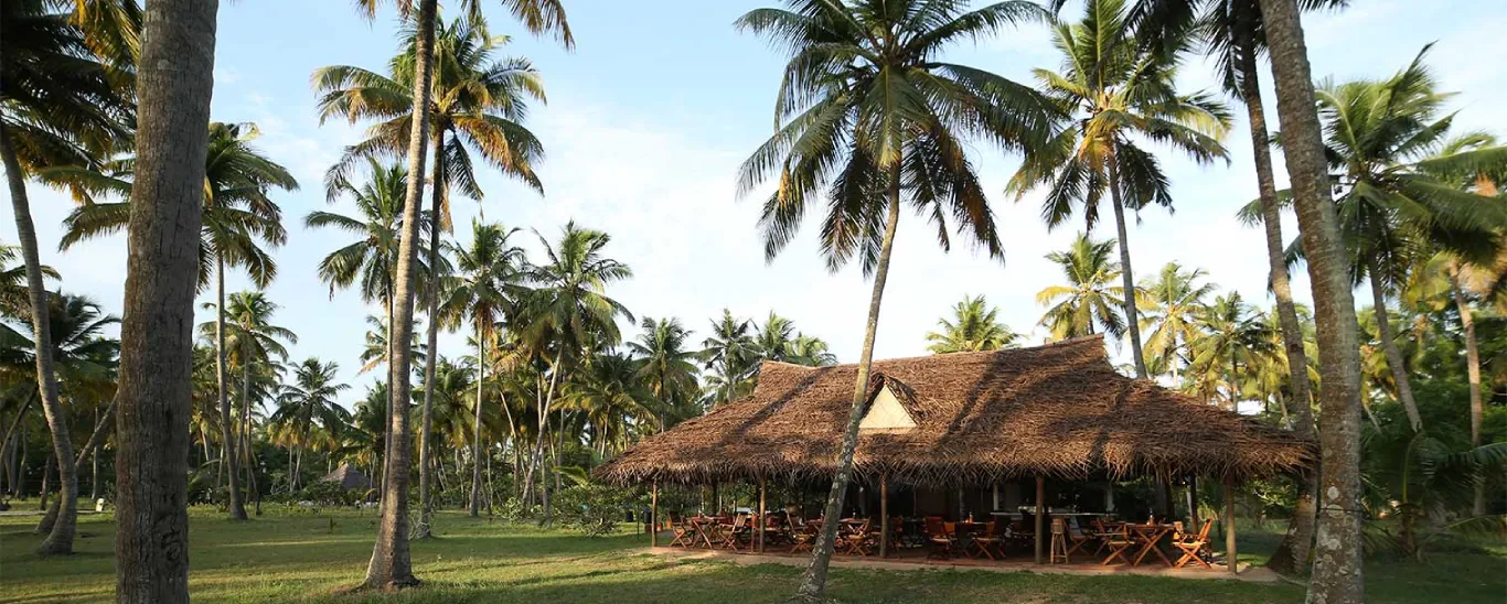 Marari beach